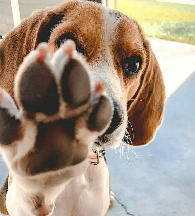 Подъехало всё вразнобой