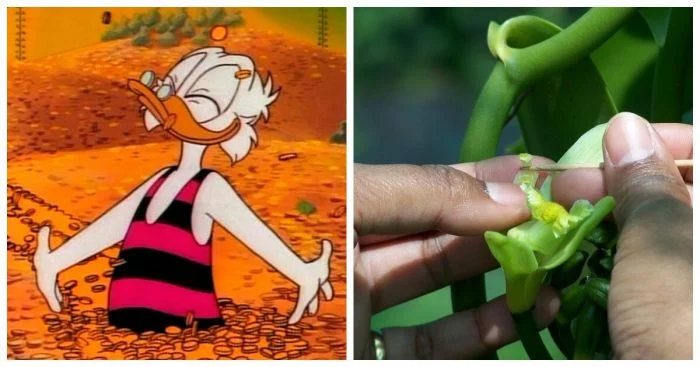 10 захватывающих фактов о жизни тогда и сейчас