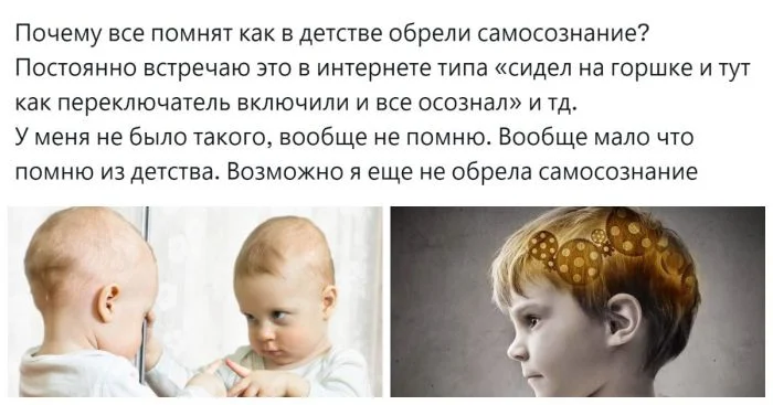 Тема самосознания вызвала бурные споры среди пользователей