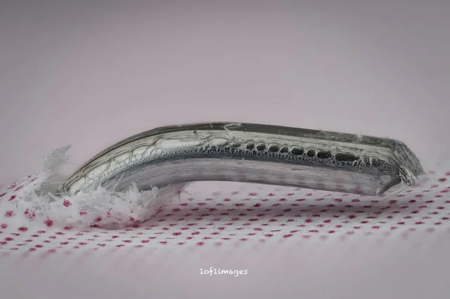 Забавная подборка фото из серии «мне показалось»