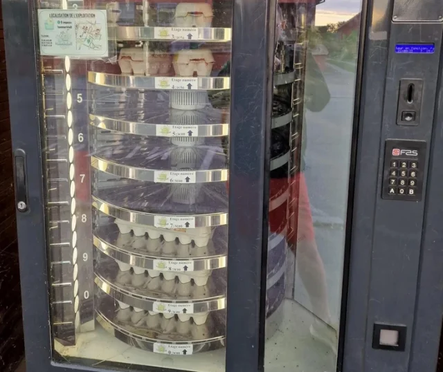 Любопытные мелочи повседневной жизни из разных уголков мира