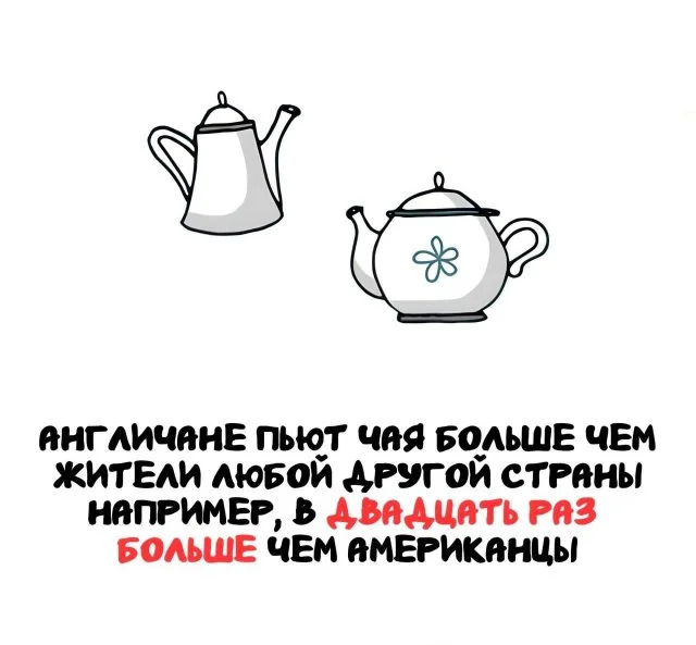 Любопытные фотофакты обо всём, что вас окружает