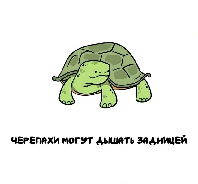 Любопытные фотофакты обо всём, что вас окружает