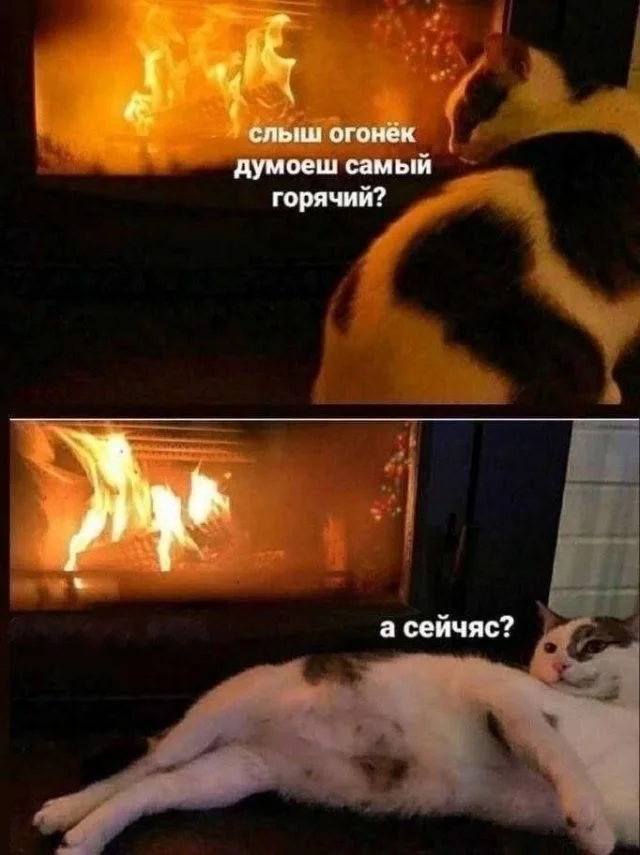 Новые скрины из соцсетей