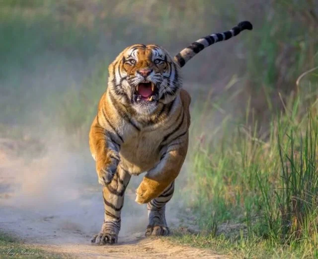 Намешалось: Красивые и интересные картинки