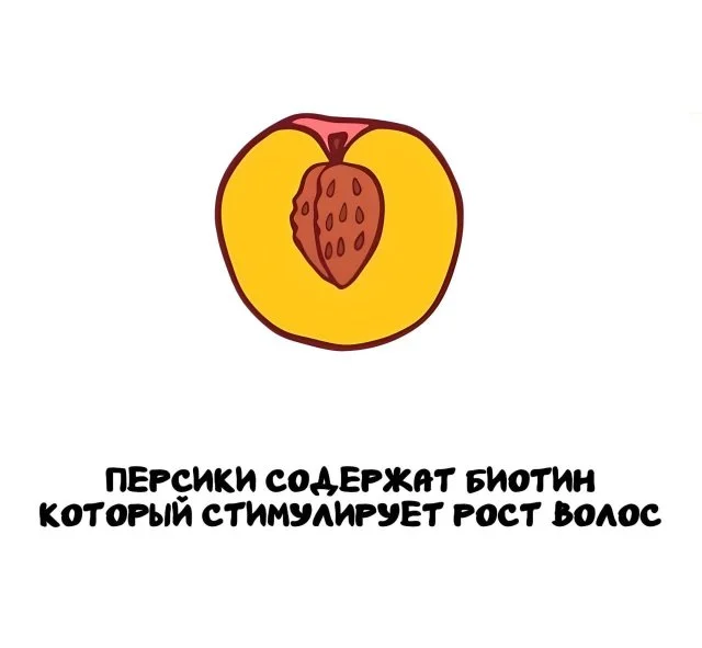 Любопытные факты