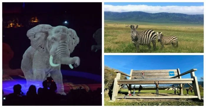 Самые яркие впечатления туристов: 35 историй, которые вдохновляют