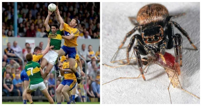 Расширяй горизонты: 10 любопытных фактов из разных сфер