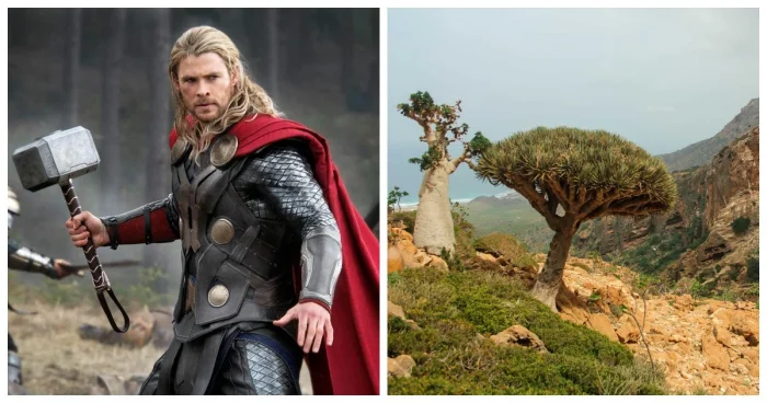 Уникальность планеты в деталях: 10 поразительных доказательств