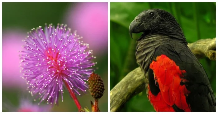 Поразительные факты, с которыми сталкивается каждый из нас