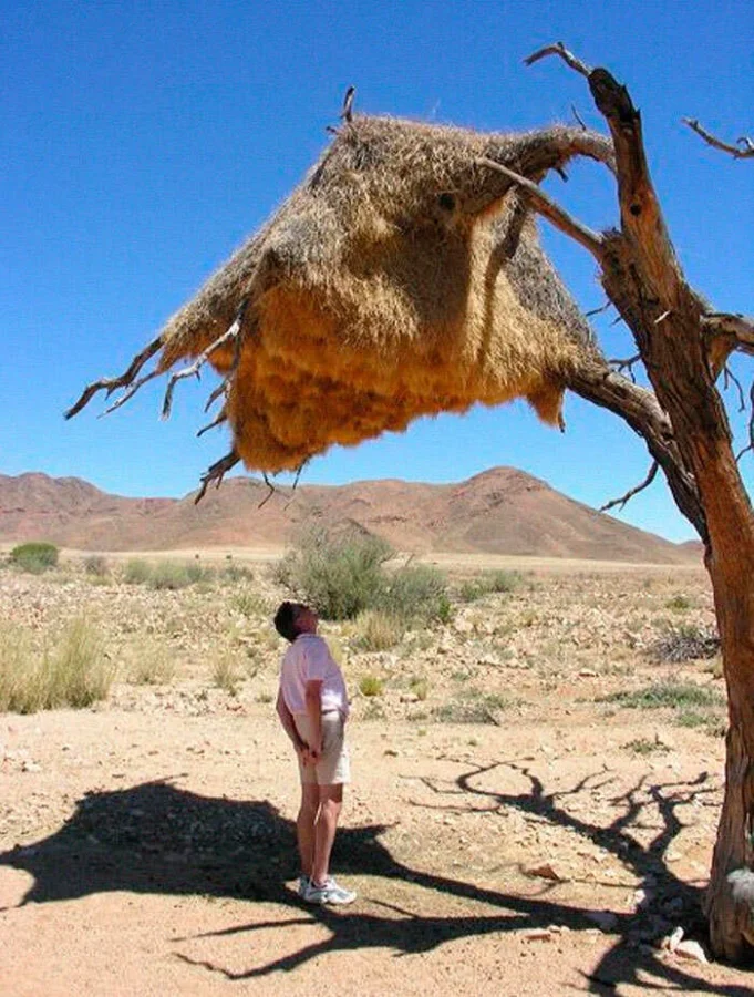 Необычные находки: 12 занимательных предметов со всех уголков планеты