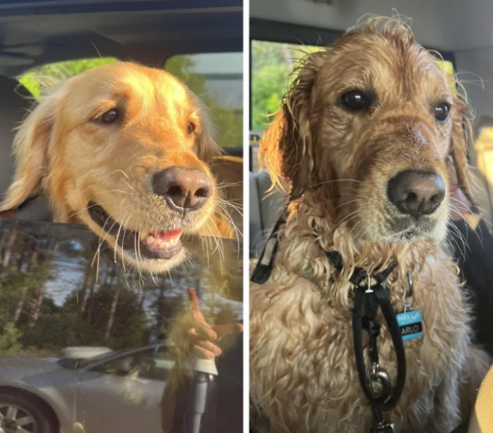 14 снимков с такой очевидной разницей, что её заметит даже малыш