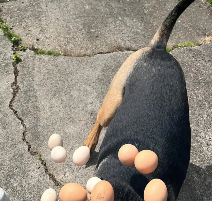 15+ снимков, на которых неожиданности обнаружились не сразу