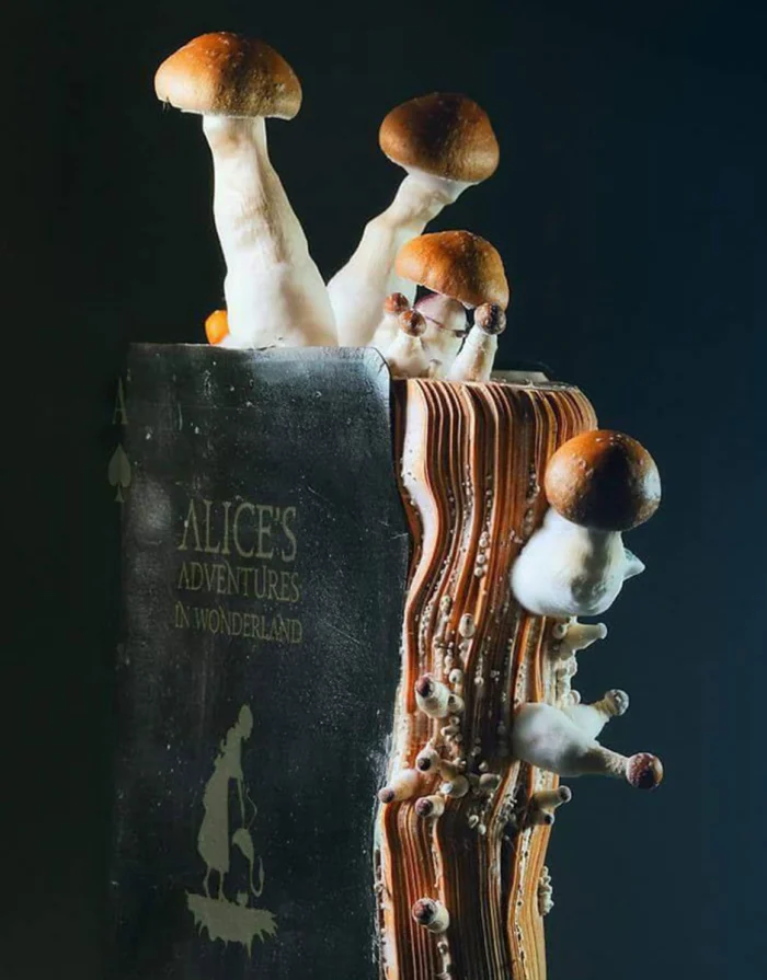 15 редких музейных находок, раскрывающих повседневность прошлого