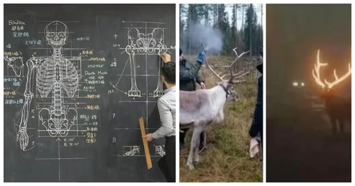 Удивительно, но это реально существует: 15 малоизвестных предметов