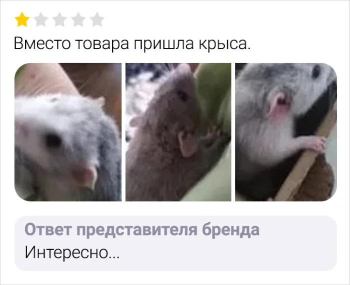 15+ интернет-отзывов, которые можно воспринимать как юмор