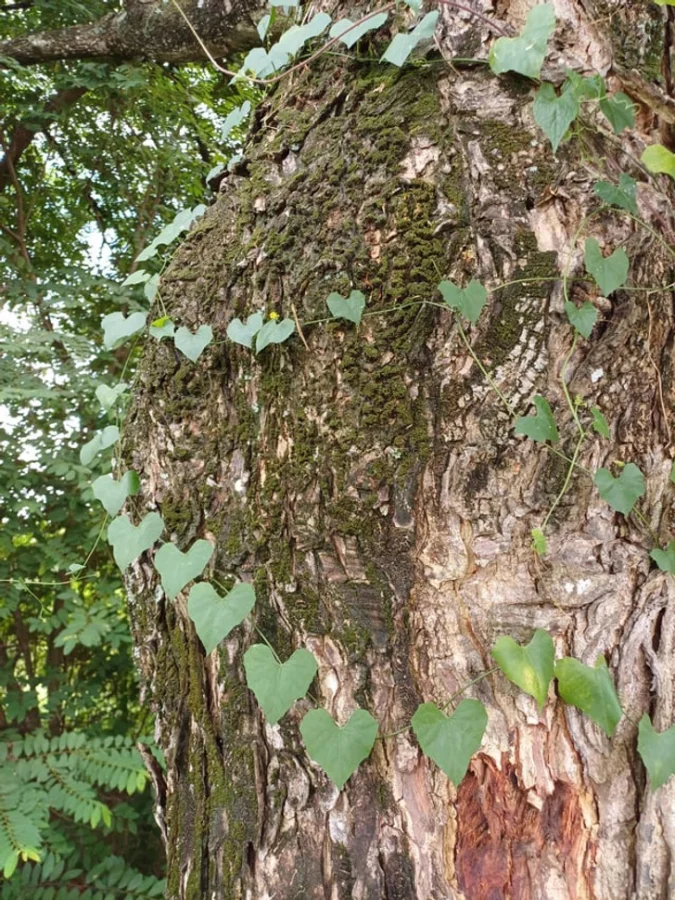 15+ случаев, когда реальность удивила своим совпадением