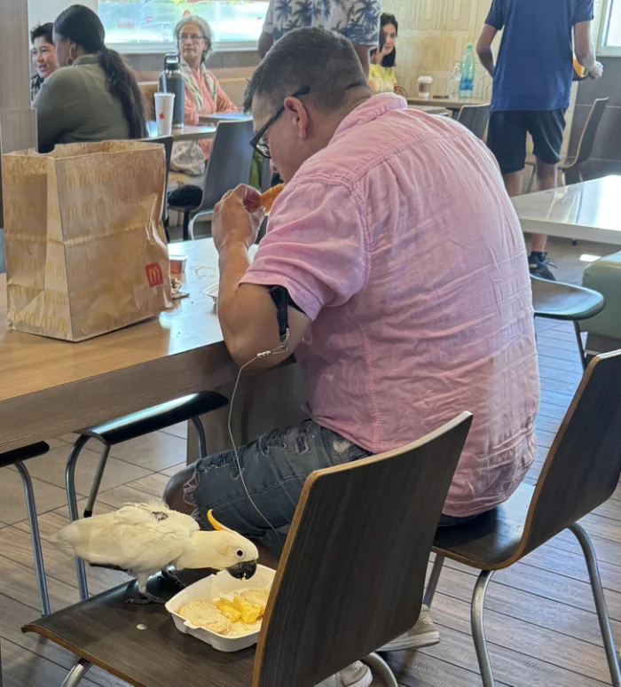 Когда реальность удивляет: 16 снимков, похожих на фотошоп