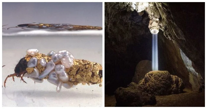 16 удивительных вещей, которые большинство людей никогда не видели