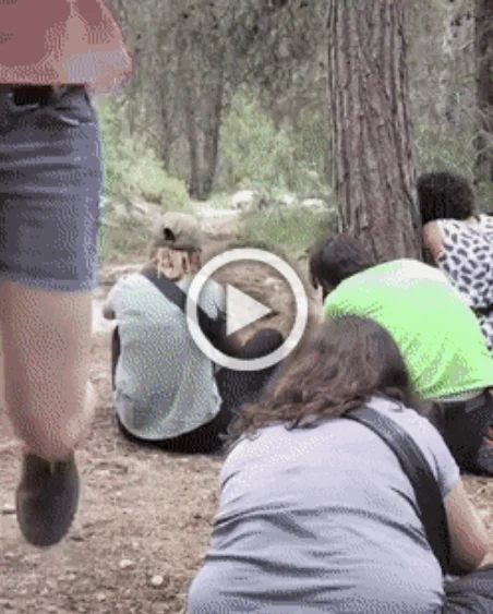 Разнообразные ГИФки #13