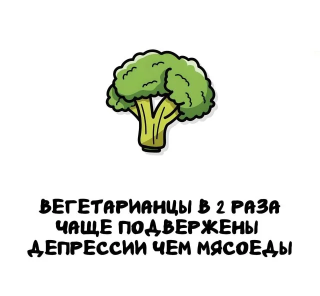 Удивительные факты, которые пригодятся для любой беседы