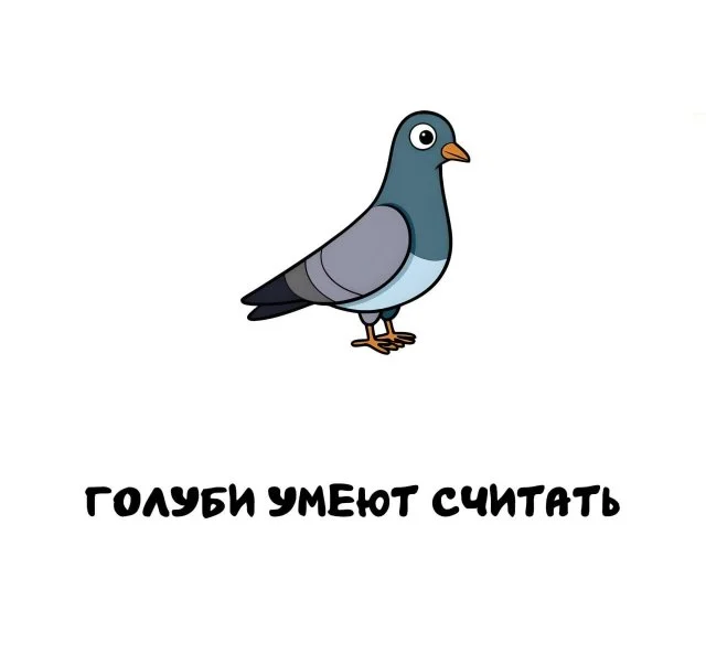 Факты, которые пригодятся в любой беседе