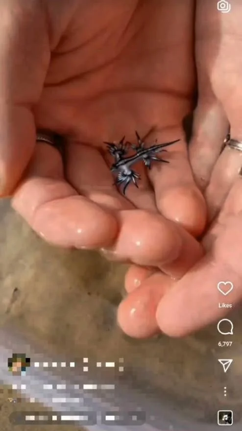 18 случаев, когда фото получилось опаснее, чем ожидалось