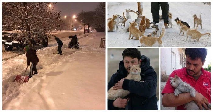 18 добрых фотографий, которые вселяют надежду в лучшее