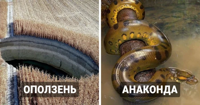 Когда красота природы граничит с ужасом