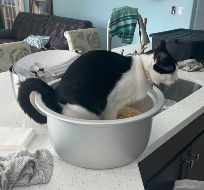 Когда удача отвернулась: 20+ людей, которым не повезло