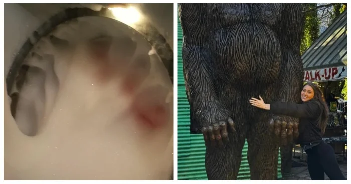 20 эпичных фейлов из-за рассеянности и забывчивости