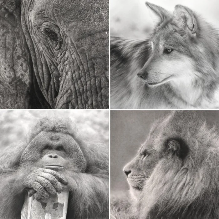 Таланты в деле: 20 человек, поделившихся своими творениями