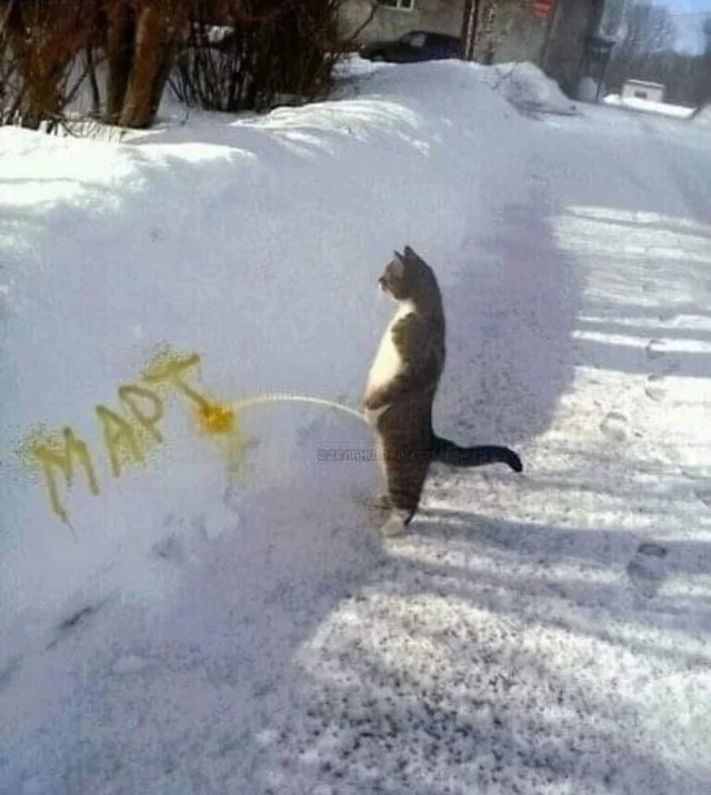 Прикольно конечно