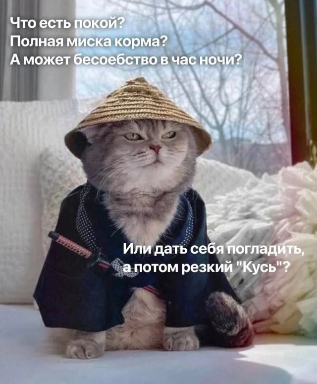 Так вот какие картинки