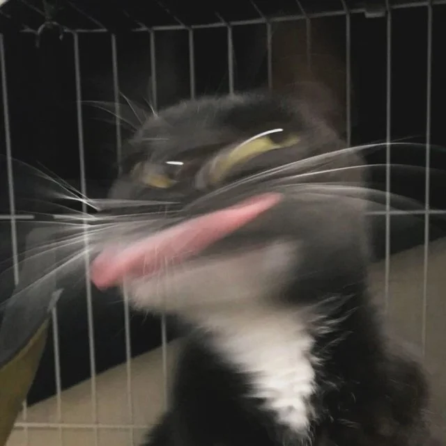 Так себе юмор #2