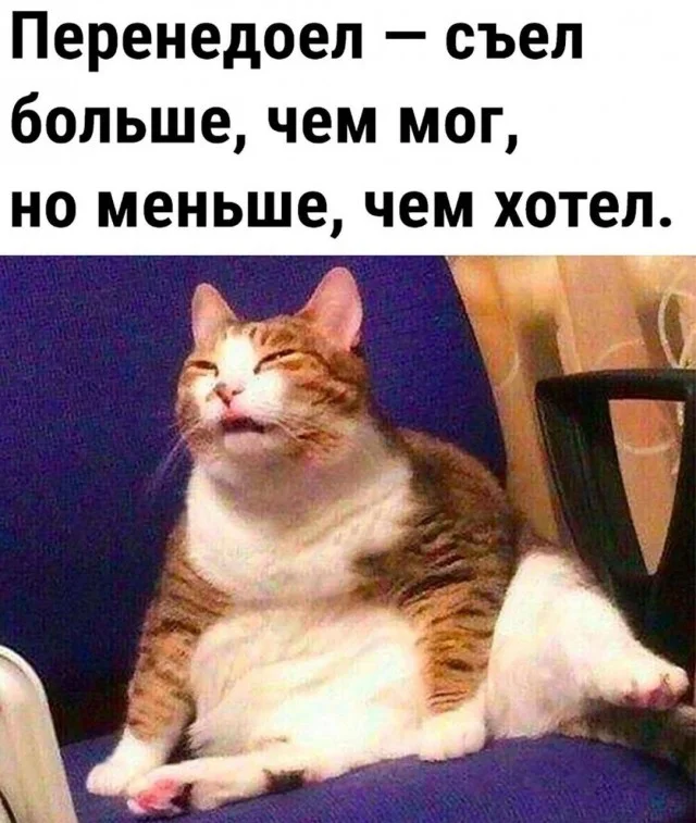 Смешные приколы #2