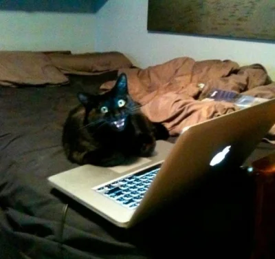 Разнообразная фотосмесь