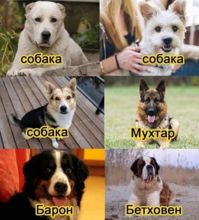 Веселые улыбахи #4