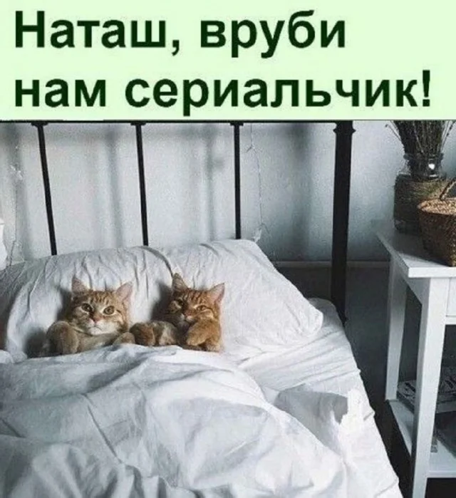 Так себе юмор #23