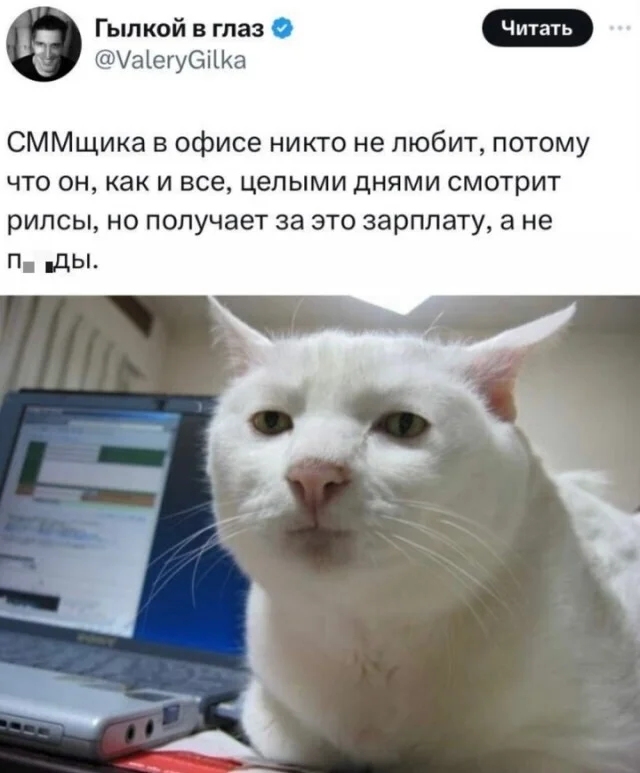 Веселые картинки