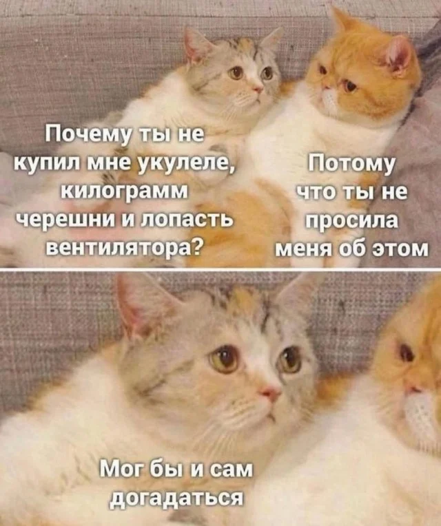 Кото-баяны