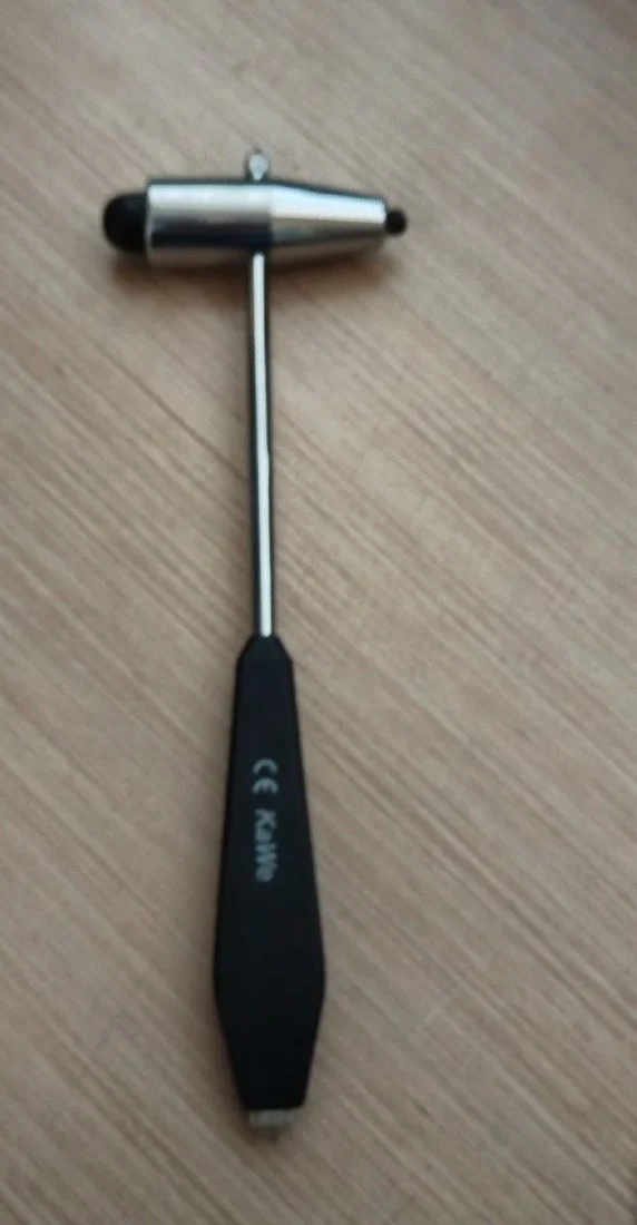 Необычные вещи, с которыми люди пытались попасть в зал суда