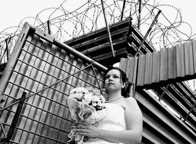 Самые преданные ждули выбирают тех, кто никогда не выйдет