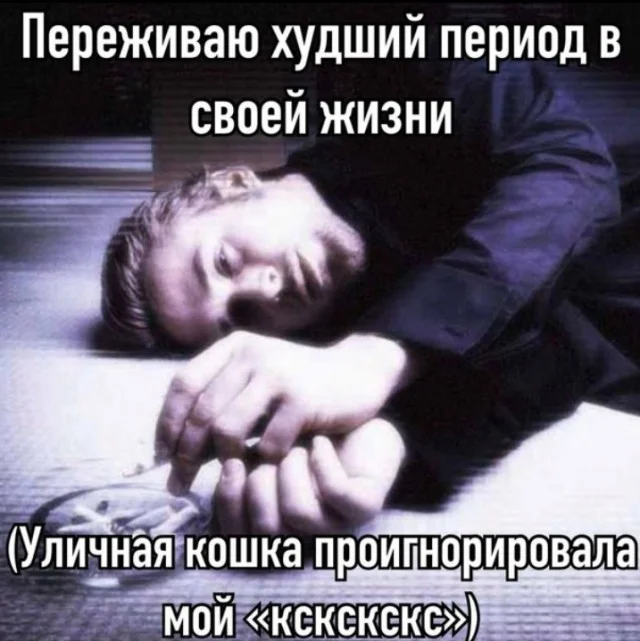 Сохраненки