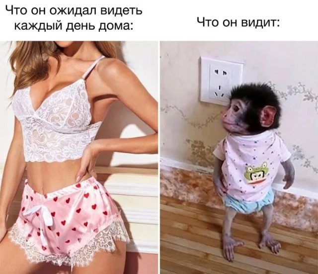 Сохраненки