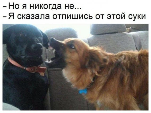 Сохраненки