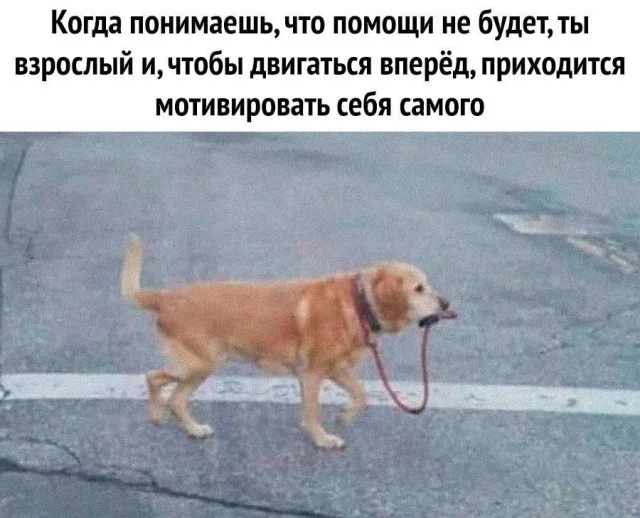 Самый свежий юмор