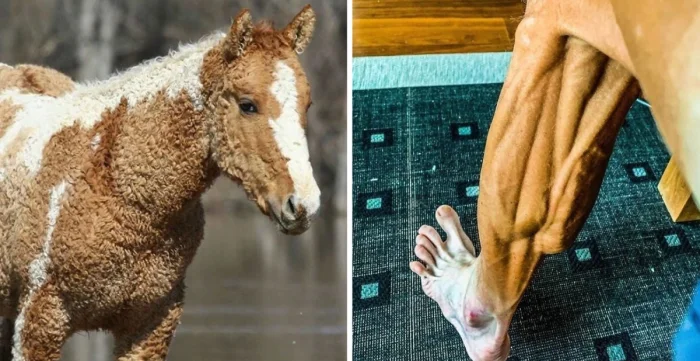 25 редких фото, раскрывающих величие природы и человеческого гения