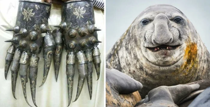 30 снимков, от которых по телу бегут мурашки