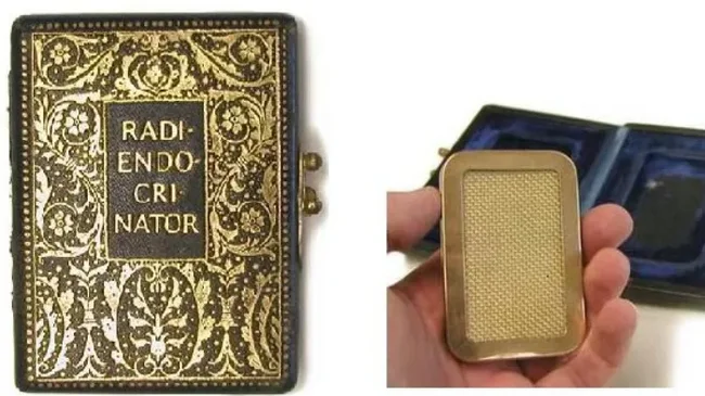 Какие последствия оставил эксперимент с цезием-137 в американском лесу?